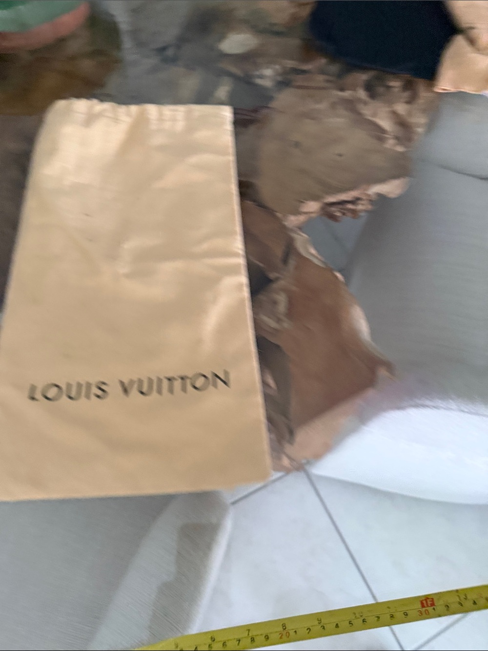 Louis Vuitton dust bag